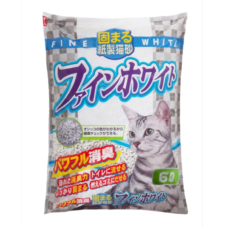 IVbR̐F킩鎆L t@CzCg 6L 