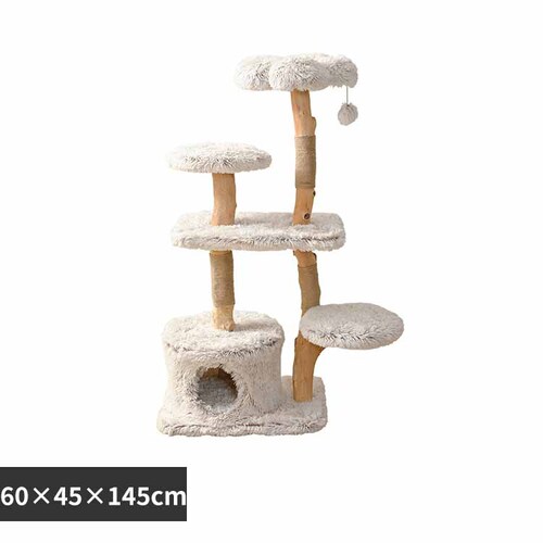 �L���b�g�^���[ ���� 1791106008 _0