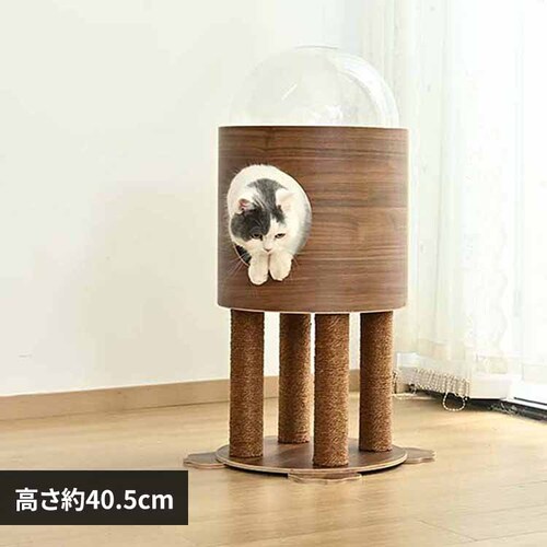 �F�����P�b�g�^���[ �}�b�g�t YS133194 KIRA_0