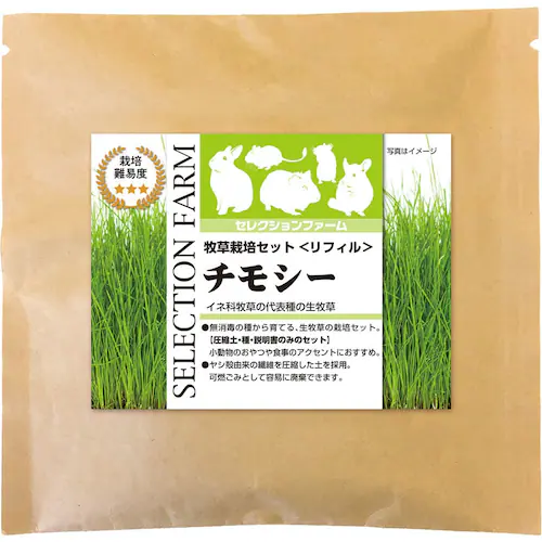 �y�󂠂�z�y�ŒZ�ܖ�����2026�N1��31���z�C�[�X�^�[ �Z���N�V�����t�@�[�� �q���͔|�Z�b�g �����t�B���� �`���V�[_0