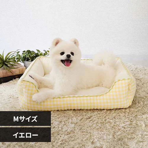 adorable pet�fs�T�}�[�M���K���X�N�G�A�x�b�hM SB-226MYE �C�G���[_0