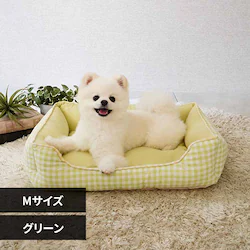 adorable pet�fs�T�}�[�M���K���X�N�G�A�x�b�hM SB-226MGR �O���[��