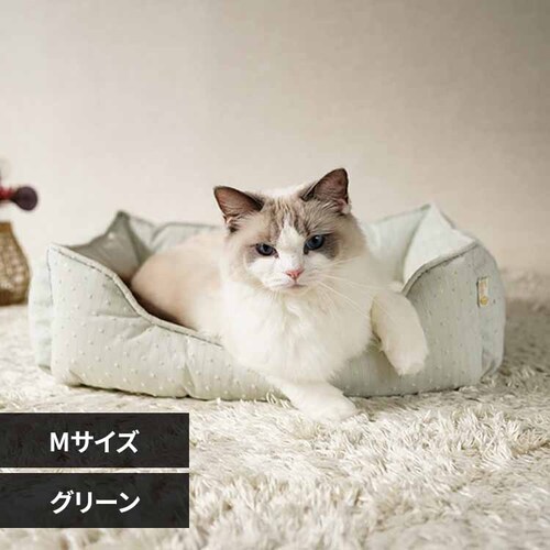 adorable pet�fs���C�����X�g���C�v�X�N�G�A�x�b�hM SB-227MGR �O���[��_0