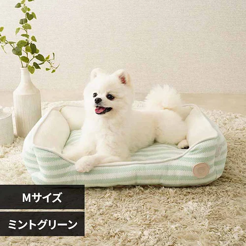 adorable pet�fs�T�}�[�{�[�_�[�X�N�G�A�x�b�hM SB-229MMT �~���g�O���[��_0