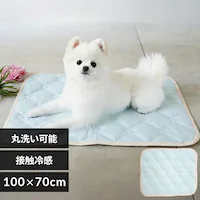 adorable pet�fs �V���J�Q���⊴�}�b�gL CM-86LBL-AP �u���[