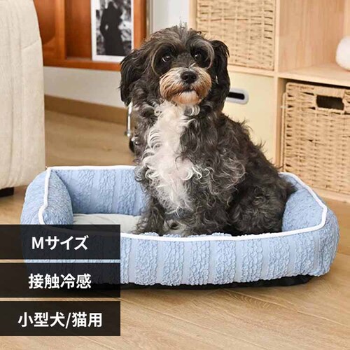 �y�b�g�x�b�h �X�N�G�A�x�b�hM �u���[ �y�v���U�Z���N�g�z_0