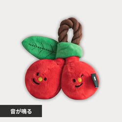 �`�F���[���[�v��������