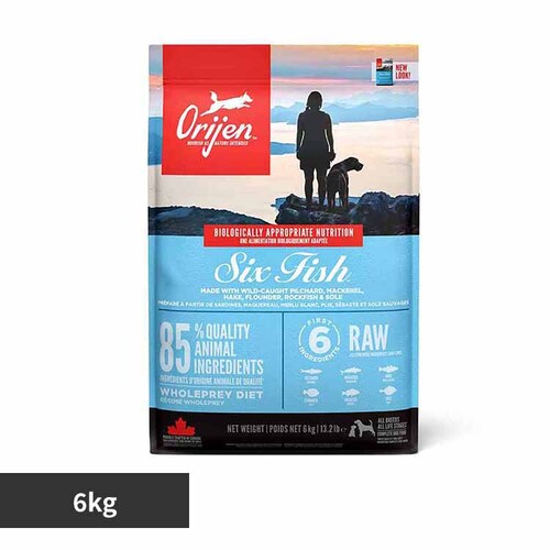 �I���W�� �I���W�� �V�b�N�X�t�B�b�V�� �h�b�O 6KG_0