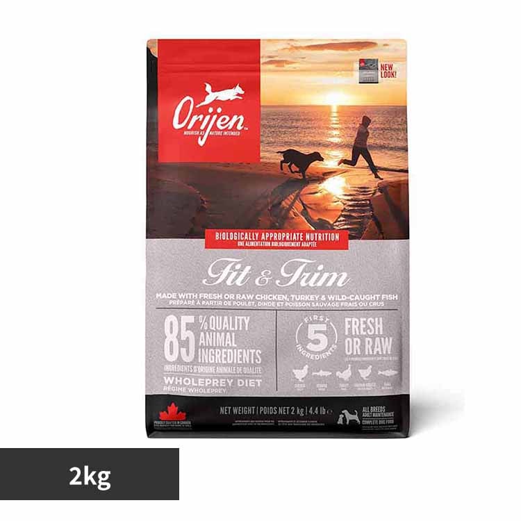 �I���W�� �I���W�� �t�B�b�g���g���� �h�b�O 2KG