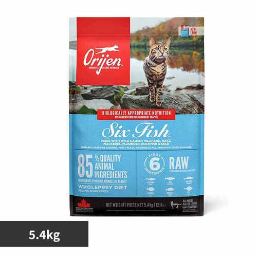 �I���W�� �I���W�� �V�b�N�X�t�B�b�V�� �L���b�g 5.4KG_0