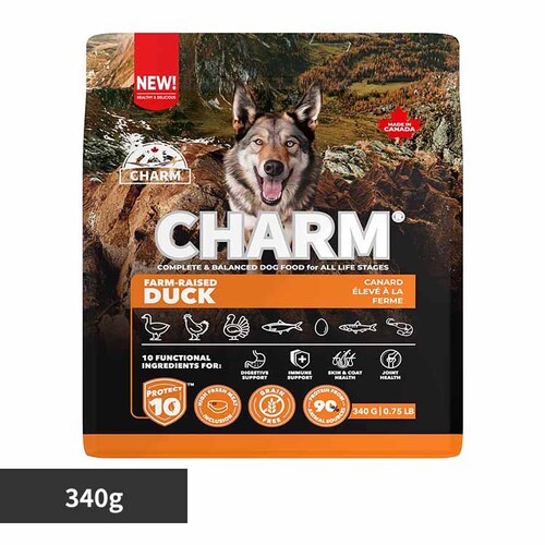 �`���[�� CHARM �t�@�[�����C�Y�h�_�b�N�h�b�O�t�[�h 340g_0