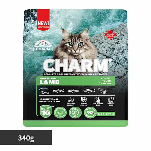 �`���[�� CHARM �O���X�t�F�b�h�����L���b�g�t�[�h 340g_0