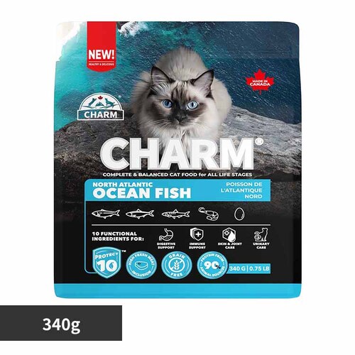 �`���[�� CHARM �m�[�X�E�A�g�����e�B�b�N�E�I�[�V�����E�t�B�b�V���L���b�g�t�[�h 340g_0