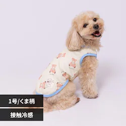 PiPi �h�b�O�E�F�A �^���N�g�b�v PP261-021-007 1���i���ܕ��j