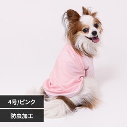 PiPi �h�b�O�E�F�A �h��T�V���c PP261-021-026 4���i�s���N�j