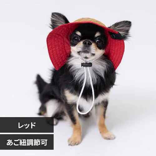 PiPi ドッグウェア サファリハット S PP251-291-002 レッド_0