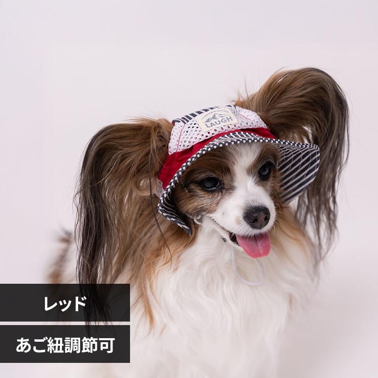 PiPi �h�b�O�E�F�A �q�b�R���[�n�b�g S PP261-291-001 ���b�h