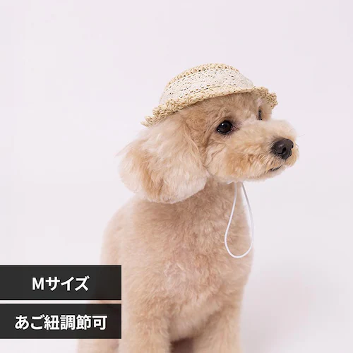 PiPi �h�b�O�E�F�A �X�g���[�n�b�g M PP261-291-014_0
