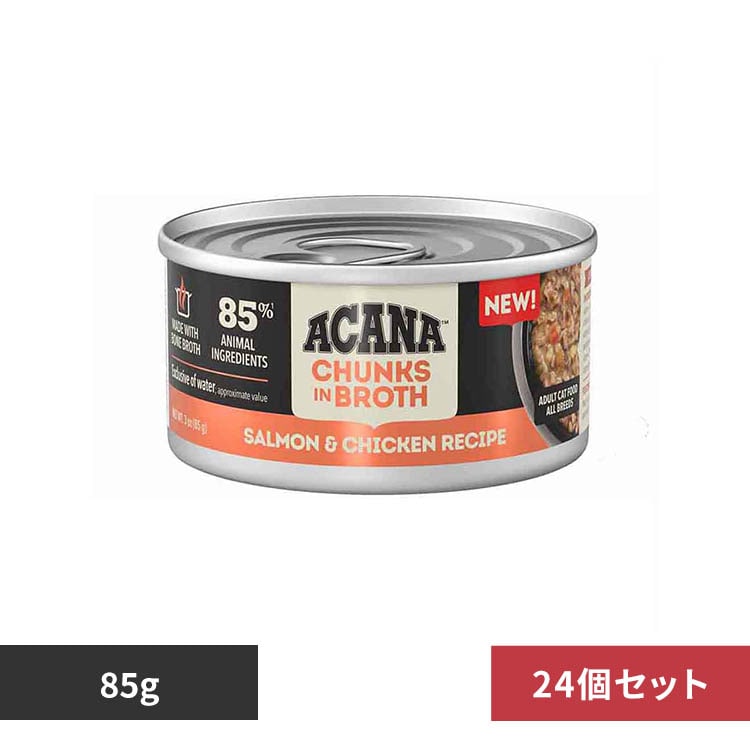 �A�J�i �y24�Z�b�g�z�A�J�i �`�����N �C�� �u���X �T�[�������`�L���̃��V�s 85G