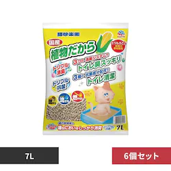 �L���y�� �y6�z�L���y�� �A�������� 7L