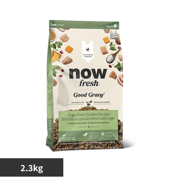 NOW FRESH GPN NOW �O�b�h�O���[�r�[ �X���[��B �`�L�� 2.3kg
