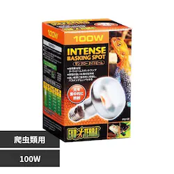 ExoTerra �T���O���[�^�C�g�r�[���o�X�L���O�X�|�b�g�����v 100W PT2138