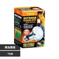ExoTerra �T���O���[�^�C�g�r�[���o�X�L���O�X�|�b�g�����v 75W PT2136