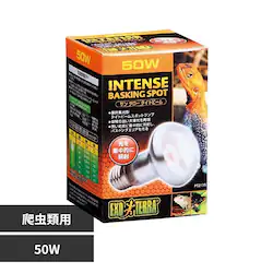 ExoTerra �T���O���[�^�C�g�r�[���o�X�L���O�X�|�b�g�����v 50W PT2135