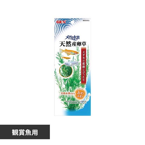 GEX メダカ水景 天然産卵草_0