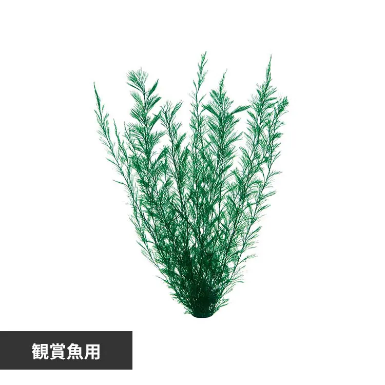 �ǉ����i�T���l�C��