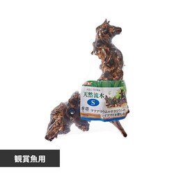 GEX �V�R���� S