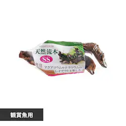 GEX �V�R���� SS