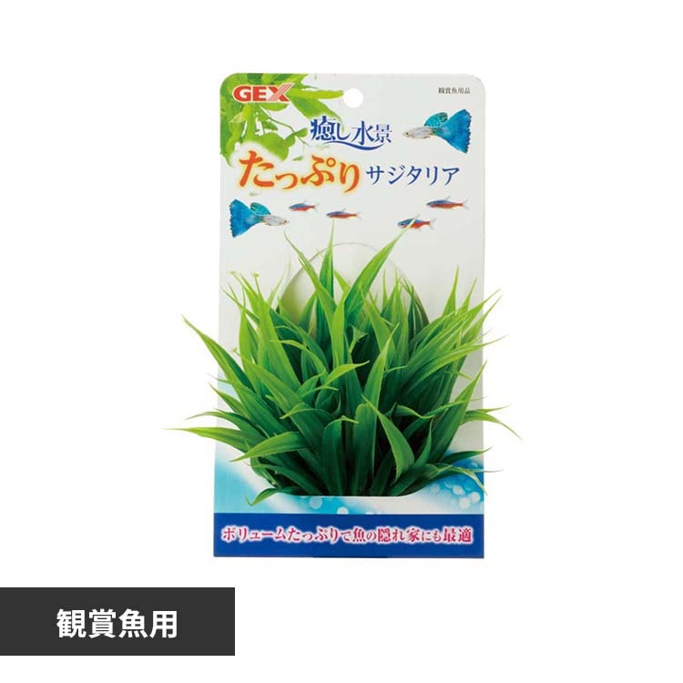 GEX �������i�����Ղ� �T�W�^���A