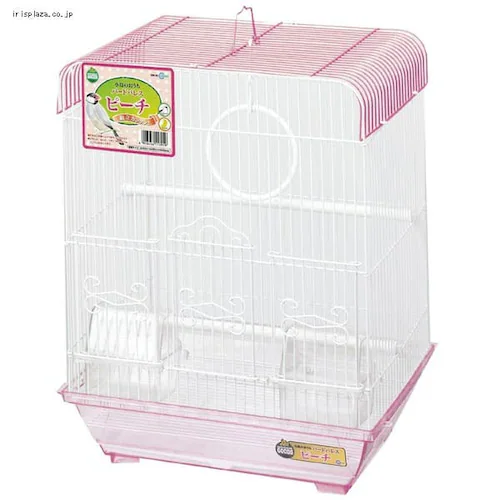 �o�[�h�p���X�E�s�[�`_0