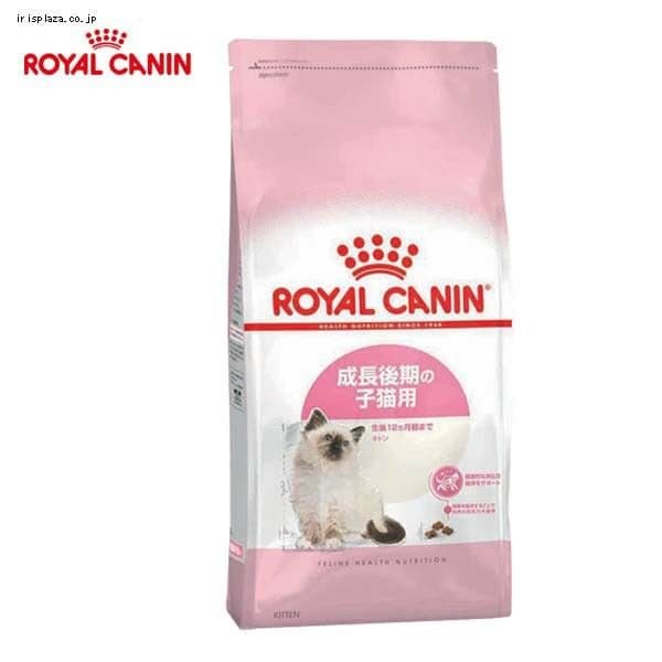 猫フード セレクトバランス キトン 10kg セレクトバランス グレイン