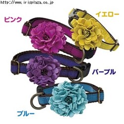 BIRDIE�@�_���A�̎�ց@S�T�C�Y�@�s���N