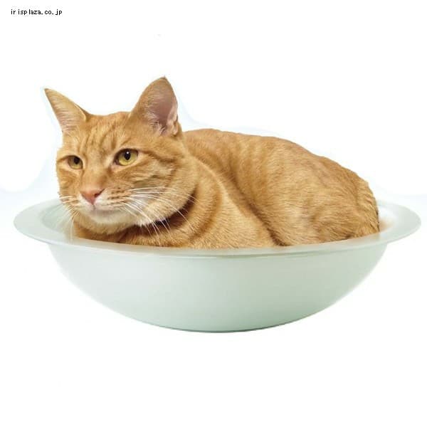 ひえひえアルミニャンコなべ アイリスプラザ アイリスオーヤマ公式通販サイト