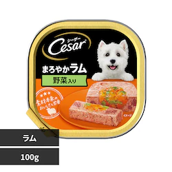 }[XWp~ebh V[U[ gC 100g CE34N  ؓyvUZNgz