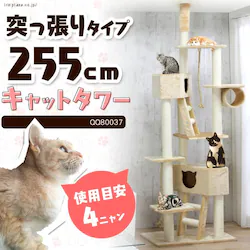 V˂Lbg^[ QQ80037 x[W