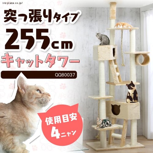 V˂Lbg^[ QQ80037 x[W_0