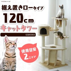 ��u���^��L���b�g�^���[ ���[�^�C�v QQ80083 �u���E��