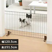 b`F X^hȈՃybgQ[g 120