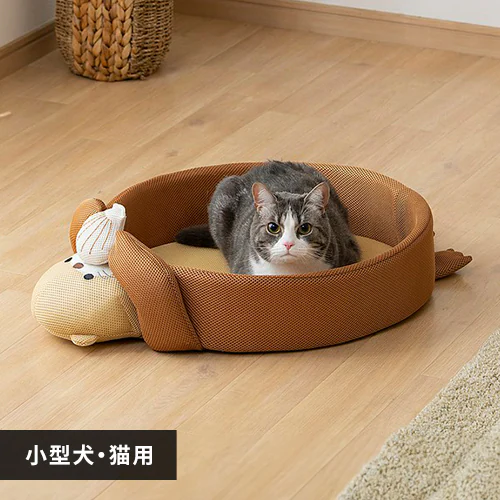 �ǉ����i�T���l�C��