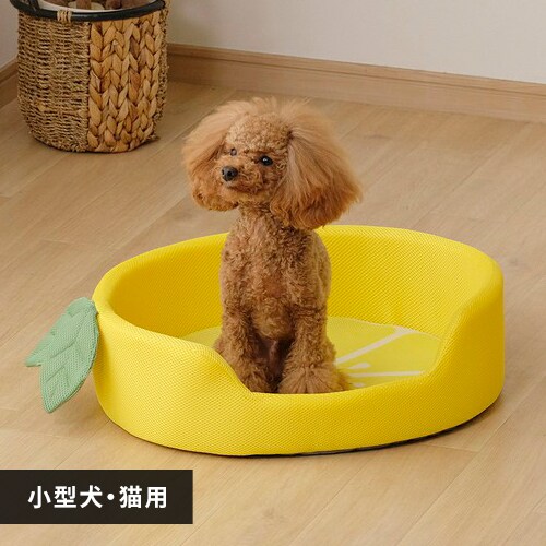 モチーフペットベッド レモン ペットベッド 犬 猫 _0