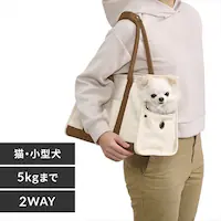 LoXg[gL[MTCY P-CT400 AC{[ ꌢ L L[