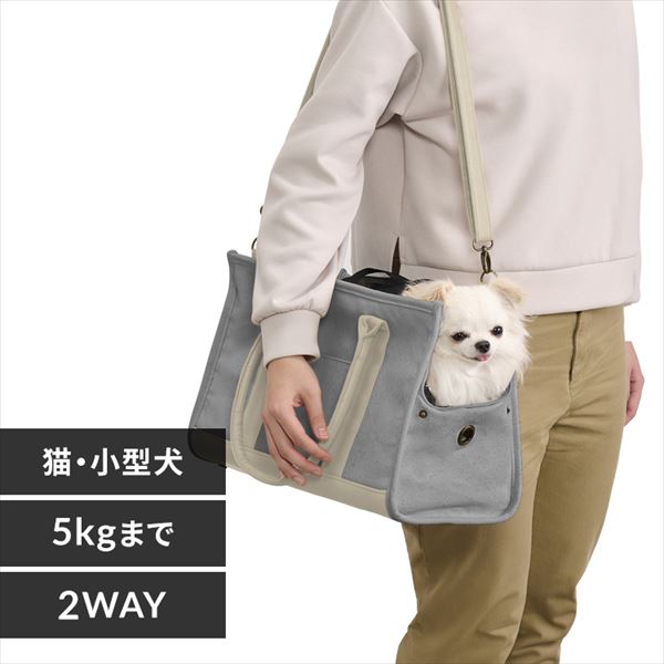 �L�����o�X�g�[�g�L�����[M�T�C�Y P-CT400 �O���[ ������ꌢ �L �L�����[