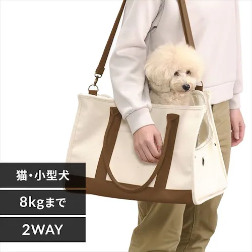 �L�����o�X�g�[�g�L�����[�k�T�C�Y P-CT450 �A�C�{���[ ������ꌢ �L �L�����[_0