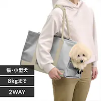 �L�����o�X�g�[�g�L�����[�k�T�C�Y P-CT450 �O���[ ������ꌢ �L �L�����[