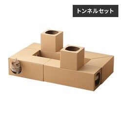 �˂��˂��g���l�� �g���l���Z�b�g P-NTT