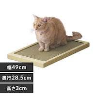 L̂߂Ƃ Ch^Cv P-NTW-290R i`